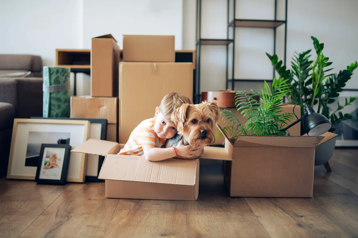 toddler boy and dog share joyful moments during move-in